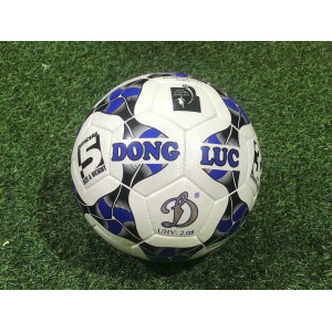 BÓNG ĐỘNG LƯC - BÓNG HẢI PHÒNG #2